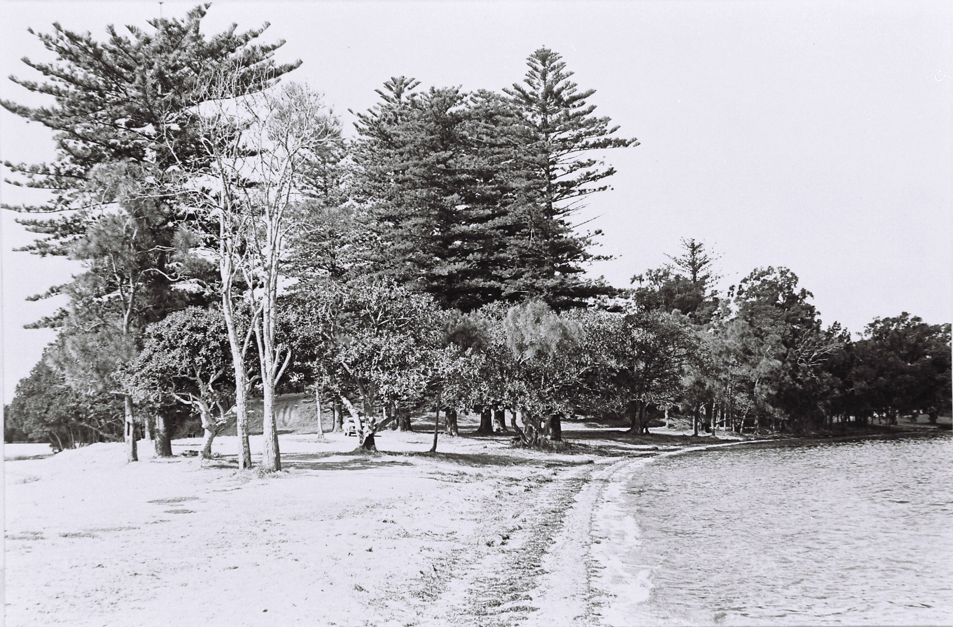 Lake Mac Local History