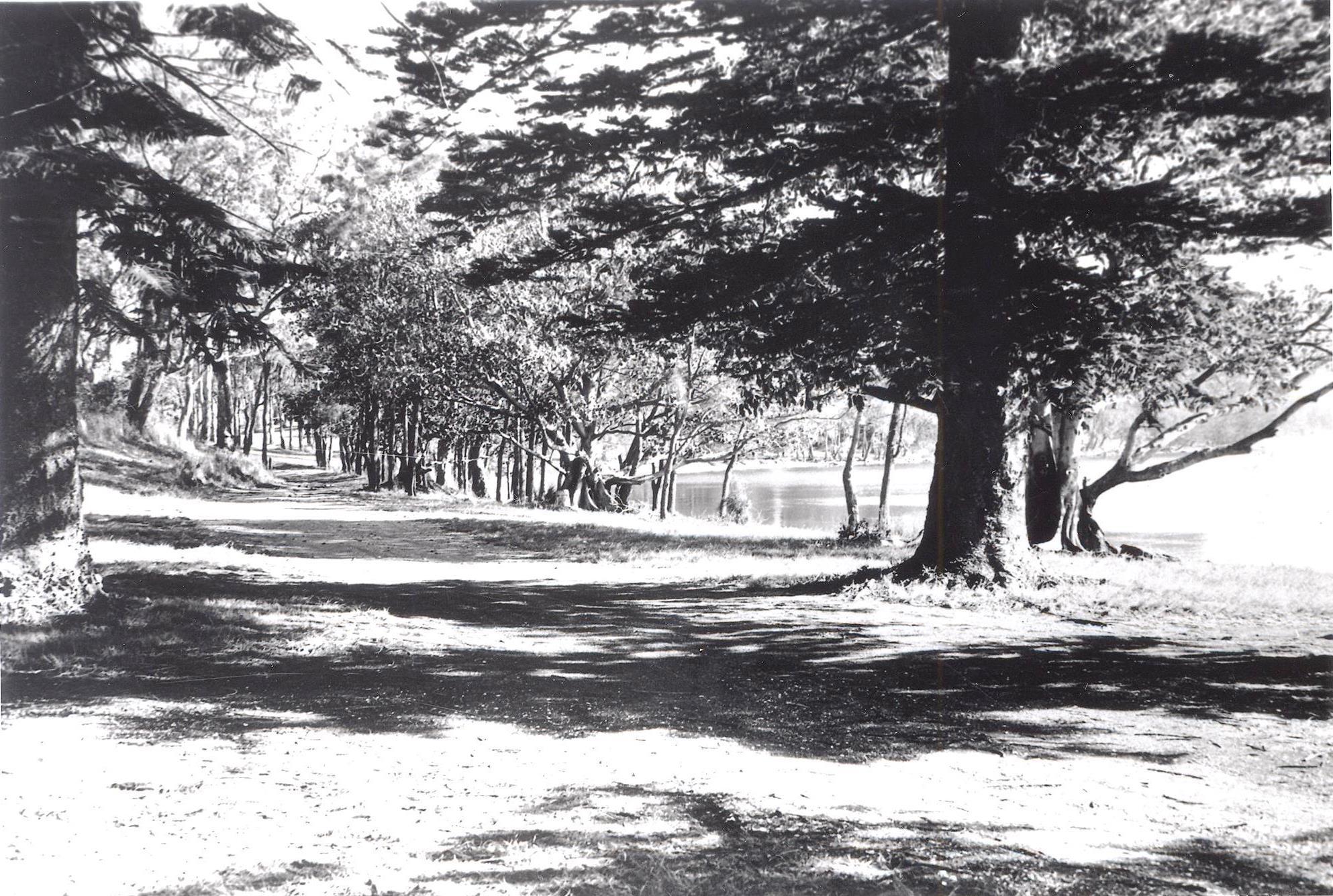 Lake Mac Local History